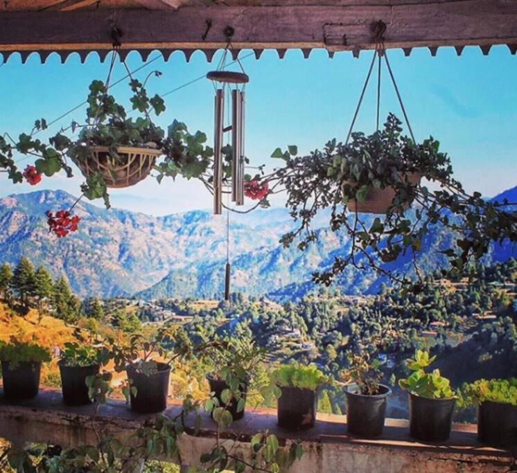 The White Peaks Holiday home